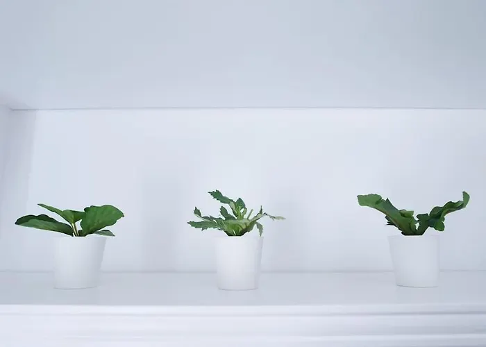 Porta Nova Appartement Ferrol